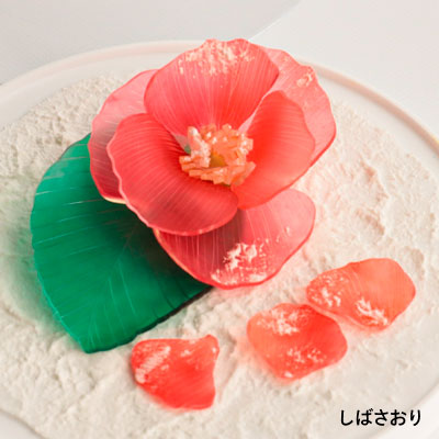 snow_camellia_400_400