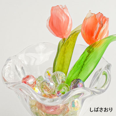 400_400_tulip